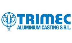 Trimec Aluminium Casting s.r.l.